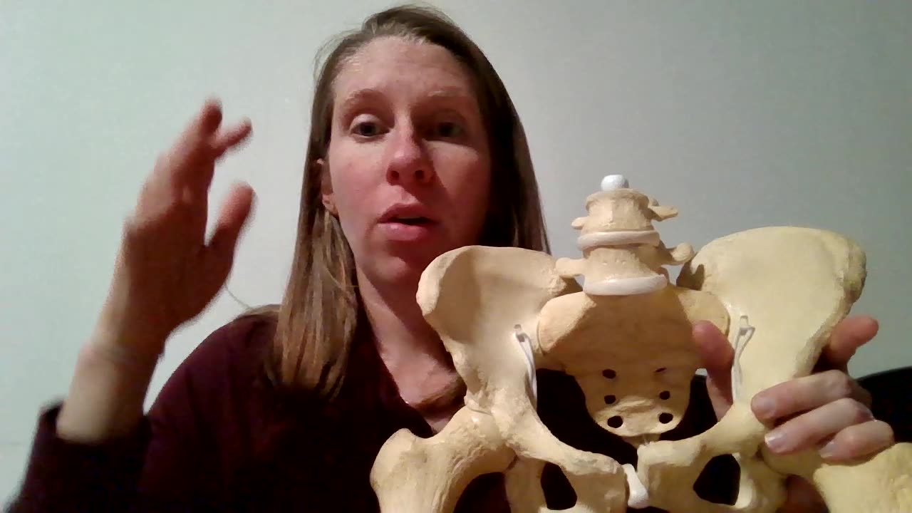 Introduction to the pelvis and fetal passage through the birth canal