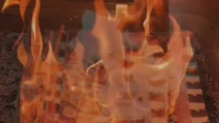 Tim Rifat TikTok Videos