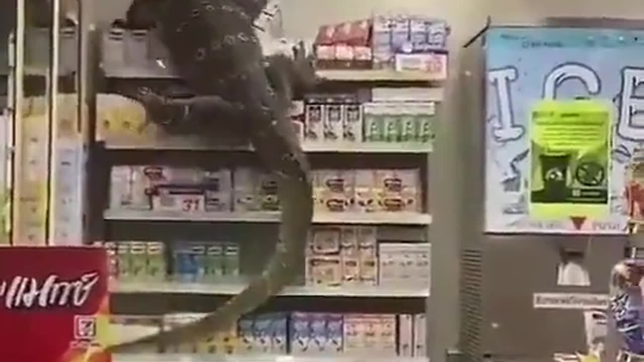Video 37