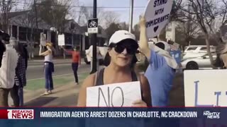 Operation Charlotte’s Web