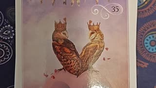 Oracle Card Reading 10/8/25