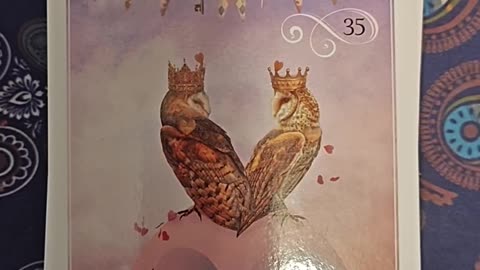 Oracle Card Reading 10/8/25