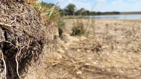 Texas Lake near Leander Nearly Disappears