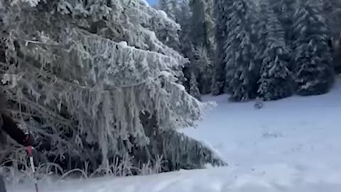 AMAZING 🔥 Top Videos You Have to See to Believe 💯 GFGS