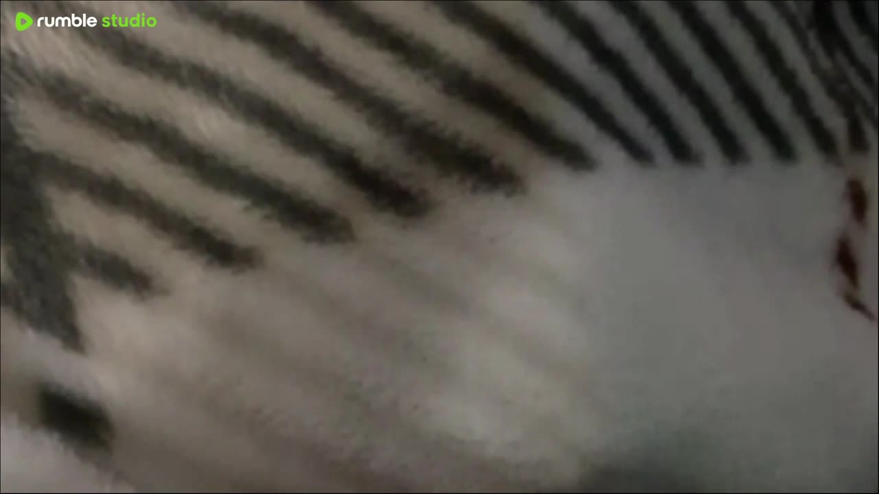 no sense talking to Dave25