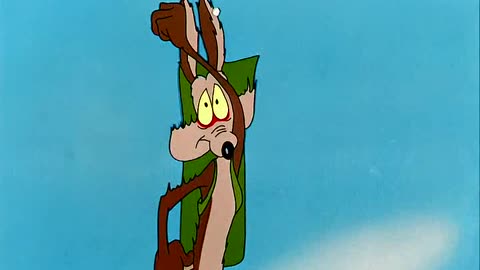 LT (LOONEY TOONS) E 16