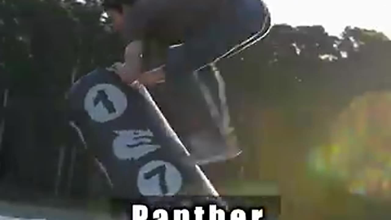 How Animals Fight Part 2 🦁🐊🐍 | Wild Animal Battles with Emojis