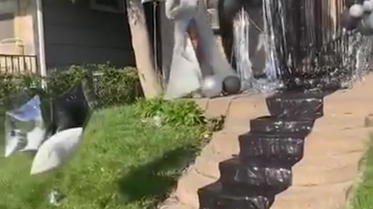 Funny & Smart Man Compilation 38 | Top Viral Comedy Buzz,