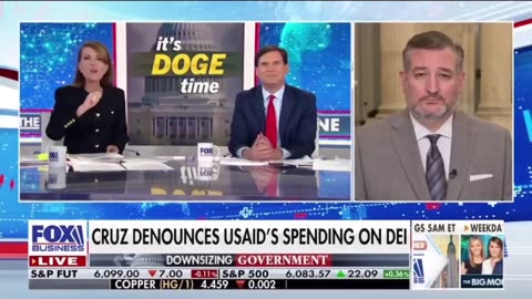 TED CRUZ: “USAID was flowing money to Gaza, that was going straight to Hamas and they were doing everything they could to hide that.”