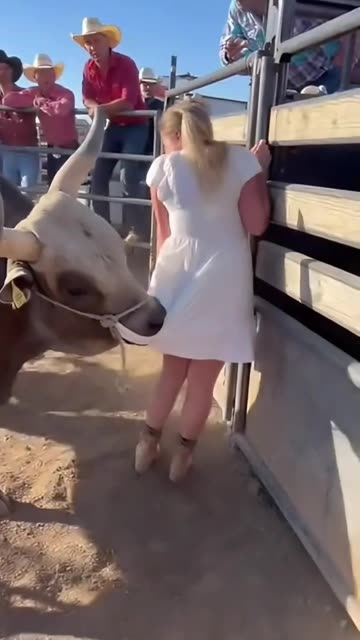Massive Bull Breaks Loose at Rodeo — Seconds of Pure Chaos