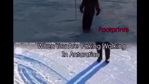 TFE: Walking in Antarctica vs A Studio