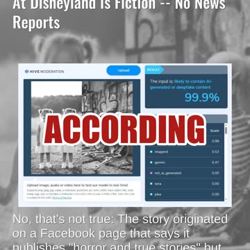 Fact Check: Horror Story Of Twins Lily And Rose Parker Disappearing At Disneyland Is Fiction