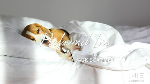 My Sex Life Now Has two Speeds