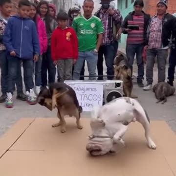 Hahaha this is amazing