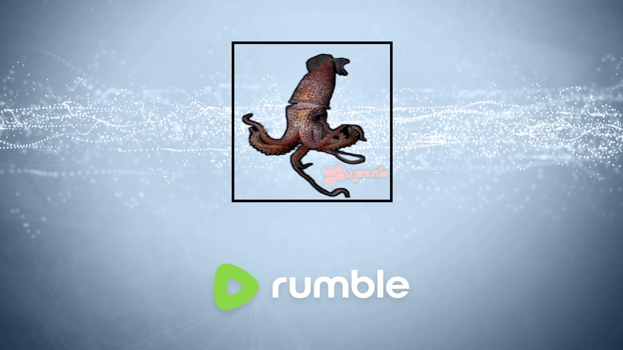 !! NEW NUT NOVEMBER !! REACTS N SUCH !!