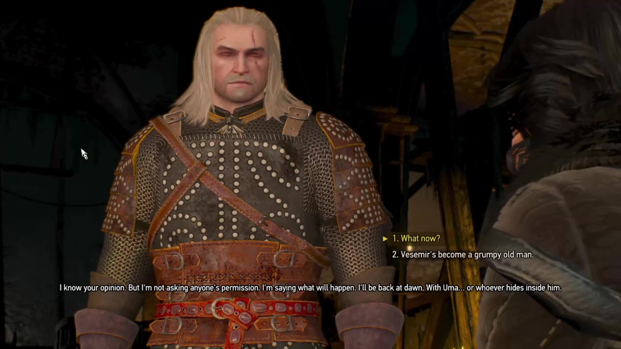 The WItcher 30