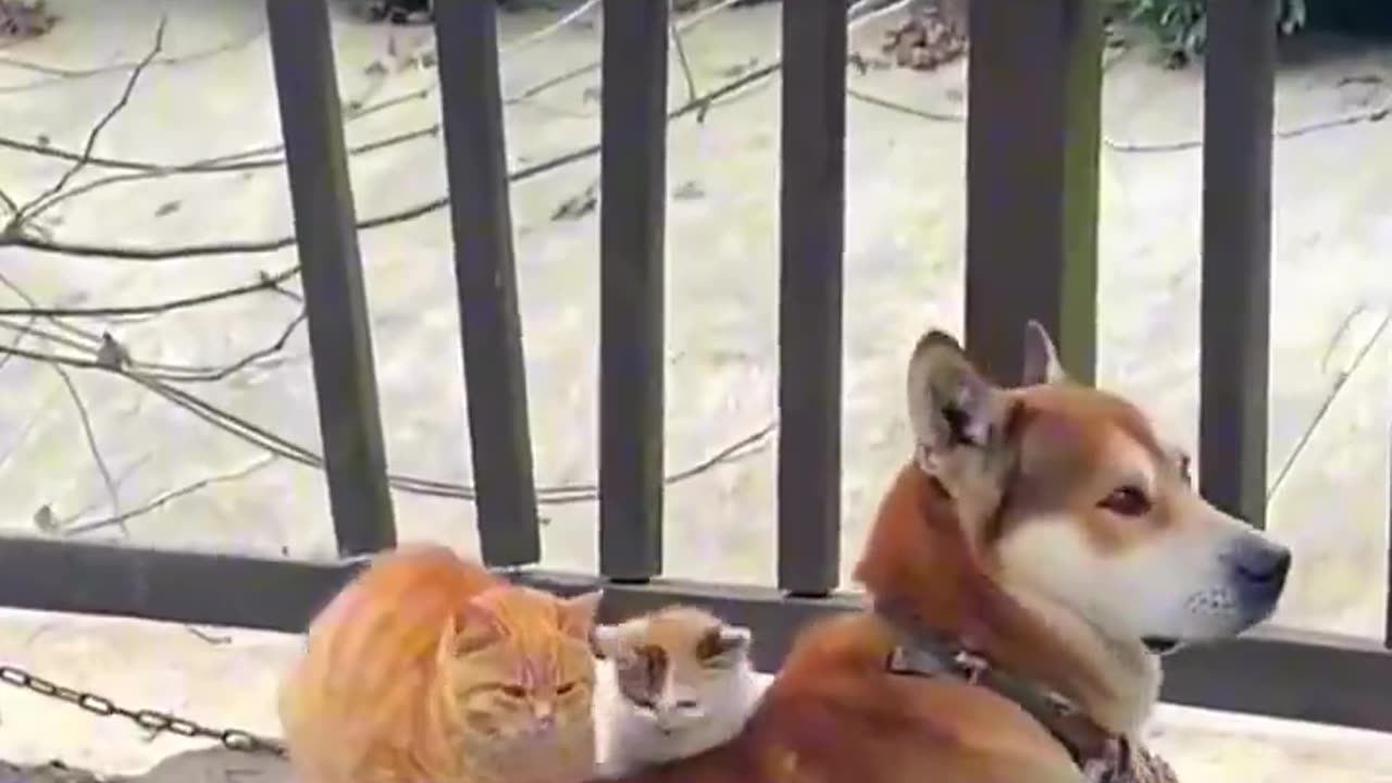 The safest spot.. 😊