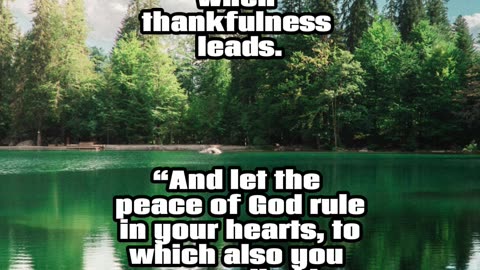 Peace in Being Thankful