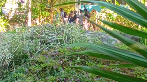 8.10.2025 The Hang Out Spot