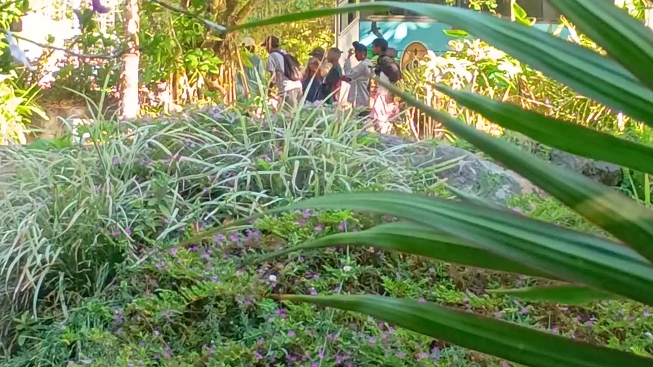 8.10.2025 The Hang Out Spot