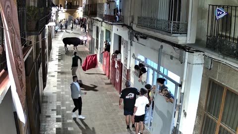 1 TORO NOCHE 8oct AZUCAR ganaderia PEÑAS BLANCAS N 16