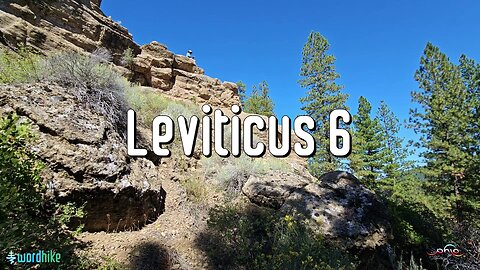 Leviticus 6, Bible Reading in Nature, BSB