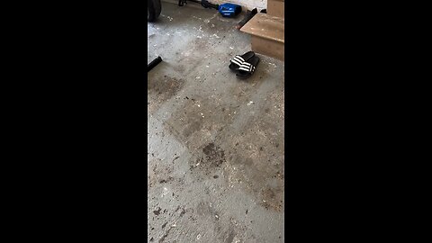 230922 Got Dirty Boy running