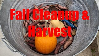 Fall Cleanup, Overwinter, Harvest (Nov 6)