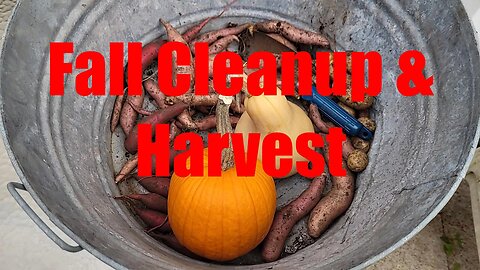 Fall Cleanup, Overwinter, Harvest (Nov 6)
