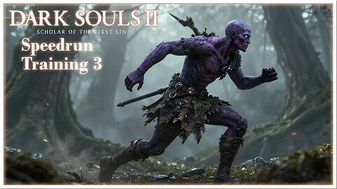 Dark Souls 2 SOTFS Glitchless Speedrun Training 3