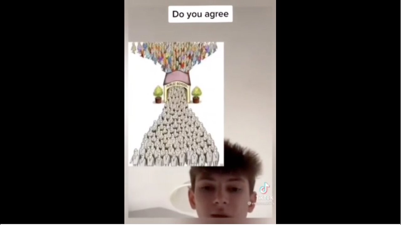 Schools 🏫 are Mind control for workers NOT Free Thinkers