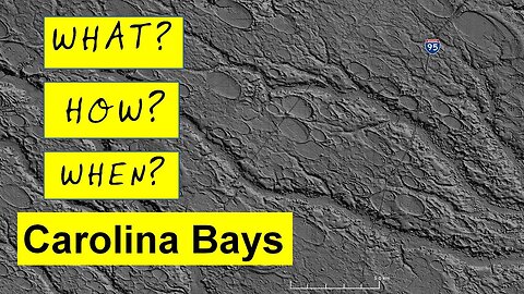 The Enigma of the Carolina Bays