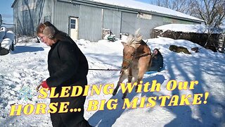 HORSE Drawn SLED Gone WRONG!
