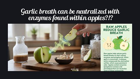 Fun Fact for Nov 19th 2025 Pt 1