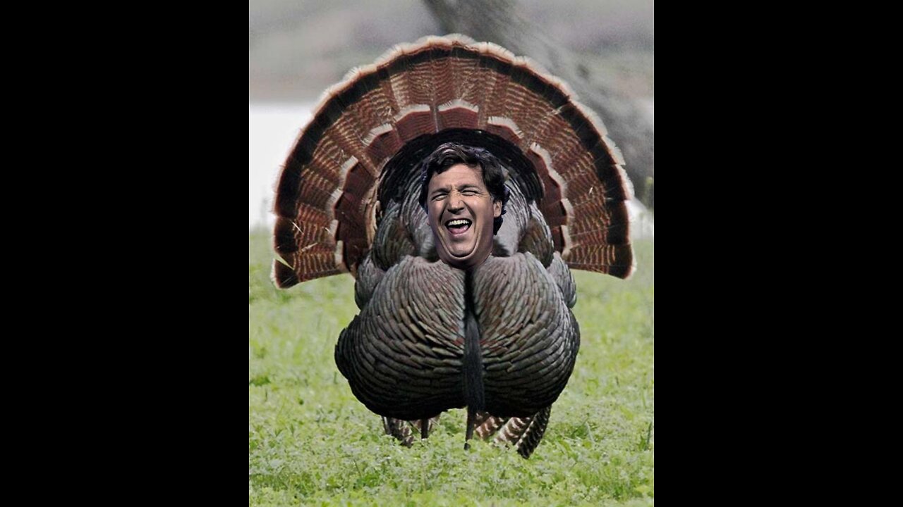 NAPALM IN THE MORNING (and laugh track)