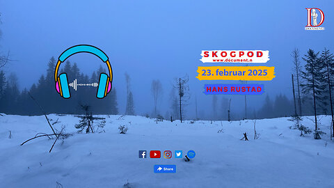 Skogpod 23. februar 2025
