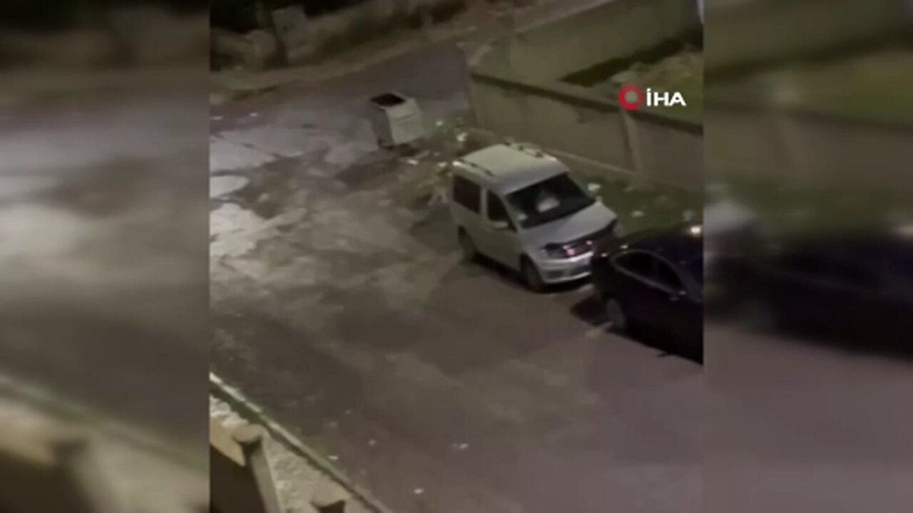 Kurt kent merkezine indi