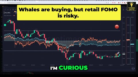 Whale Data Reveals Bitcoin Accumulation: A Bullish Sign?