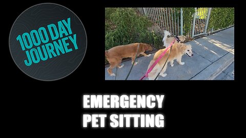 1000 Day Journey 0800 Emergency Pet Sitting