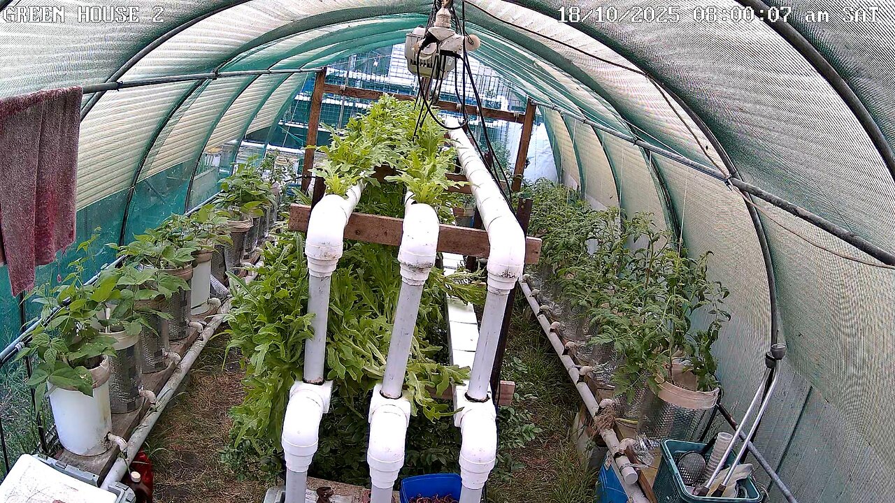 Greenhouse 2 Timeplapse Ending 24-11-2025
