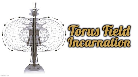 Inside The Torus Field: Plasma, Aether, Spirit. How To Escape A Physical Life In Flesh
