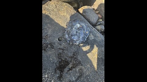 This is where it’s at.