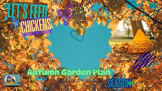 Let's Feed the Chicken | Autumn Garden Plans | E256