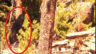 BIGFOOT CAUGHT ON VIDEO! "Between the Barrier Peaks"/ Duke & Robert Boston