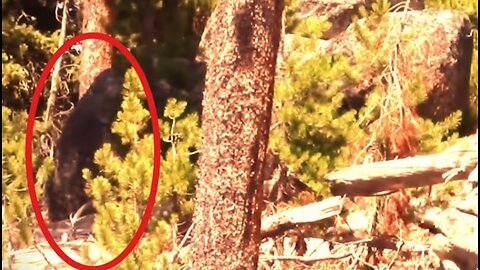 BIGFOOT CAUGHT ON VIDEO! "Between the Barrier Peaks"/ Duke & Robert Boston