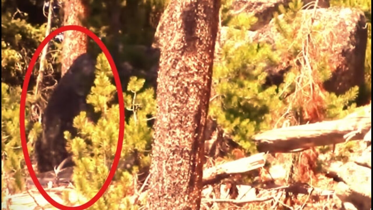 BIGFOOT CAUGHT ON VIDEO! "Between the Barrier Peaks"/ Duke & Robert Boston