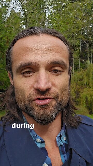 France Organized the Rwandan Gen****e