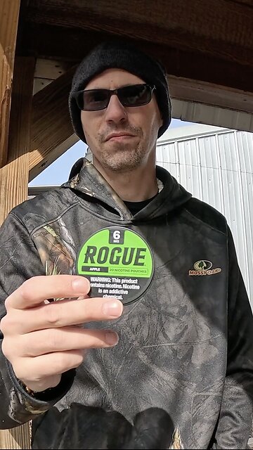 Rogue Apple Nicotine Pouches Review