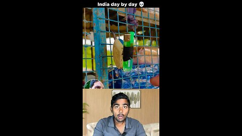 Amazing tricks