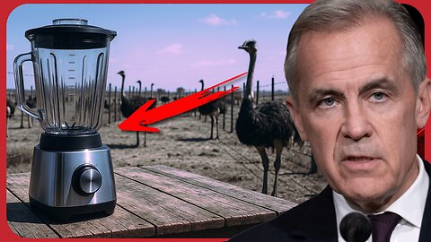 OUTRAGE in Canada: CFIA Accused of Grinding Up Ostriches Alive on Family Farm